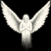 3_578.gif