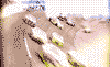 3_589.gif