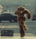 3_62.gif