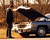 3_707.gif