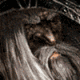 3_761.gif