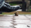 3_767.gif