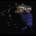3_782.gif