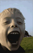3_804.gif