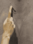 3_8452.gif