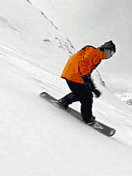 3_8455.gif