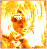 3_8473.gif