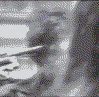 3_8479.gif