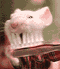 3_895.gif