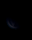 3_961.gif