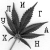 Прикол на тему конопляного листа