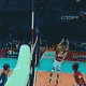 volley.gif