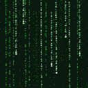 20070903_009.gif