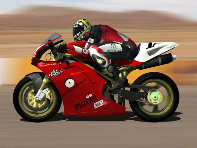 Motorsims.JPG