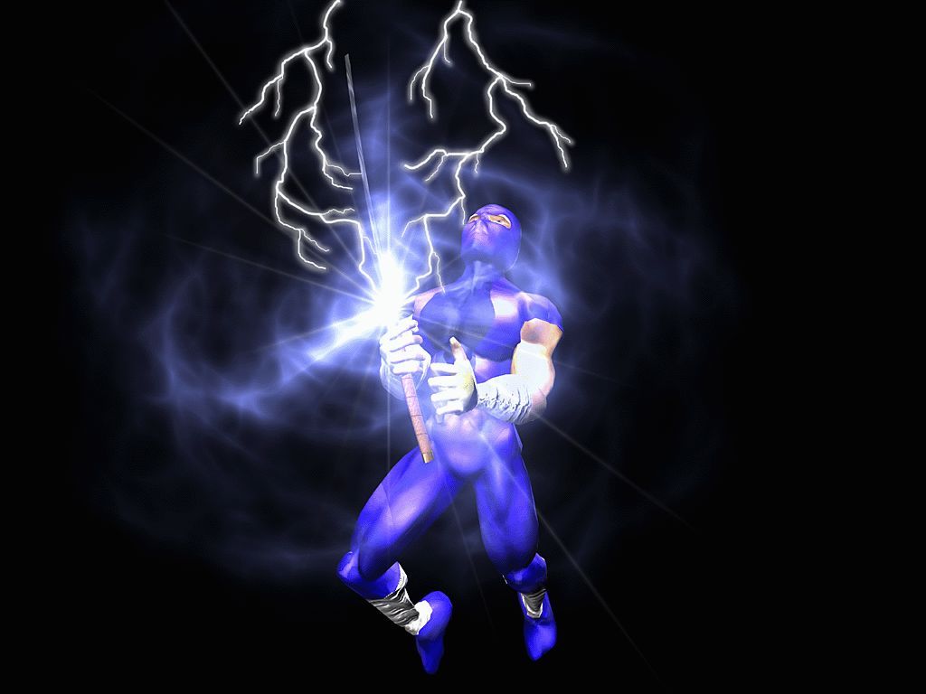 Ninja 1.jpg