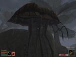 Morrowind
