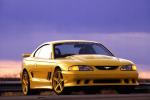 MUSTANG 6.jpg
