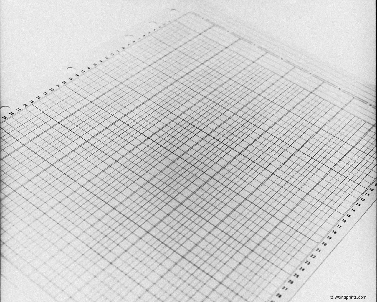 graph.jpg