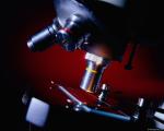 microscope3.jpg
