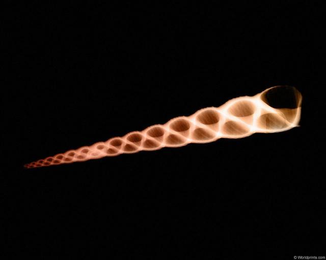 xray_conicalshell.jpg