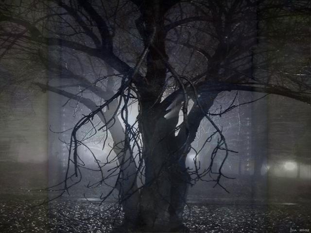 020630 ISA - solitude.jpg