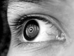 020703 COBALT - Focus __________.jpg