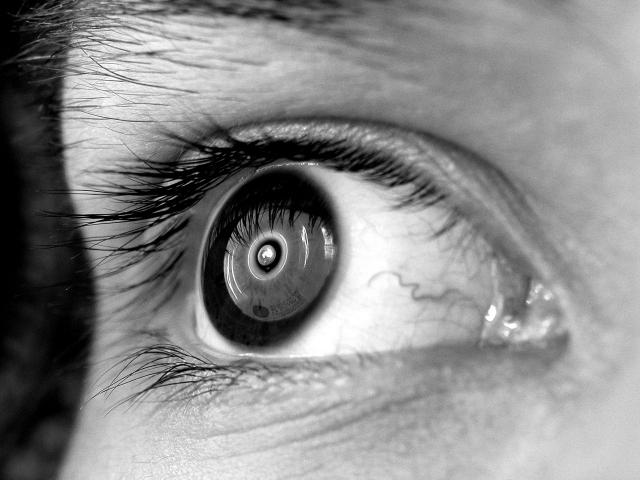 020703 COBALT - Focus __________.jpg