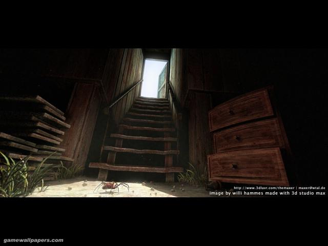 3d0032.jpg