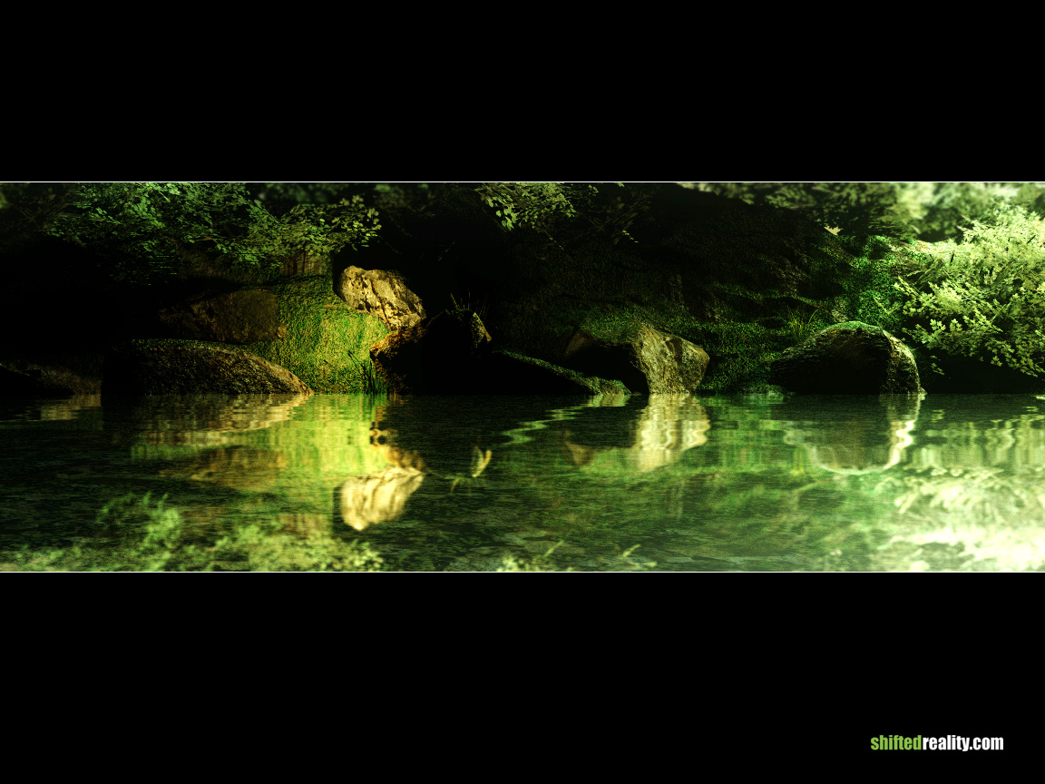 at_the_pond.jpg