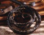 bullwhip.jpg