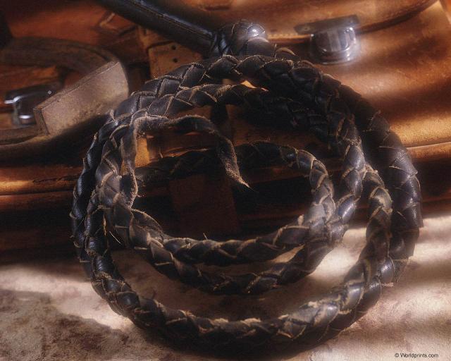 bullwhip.jpg