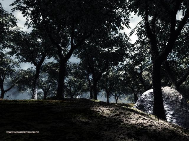 forest.jpg