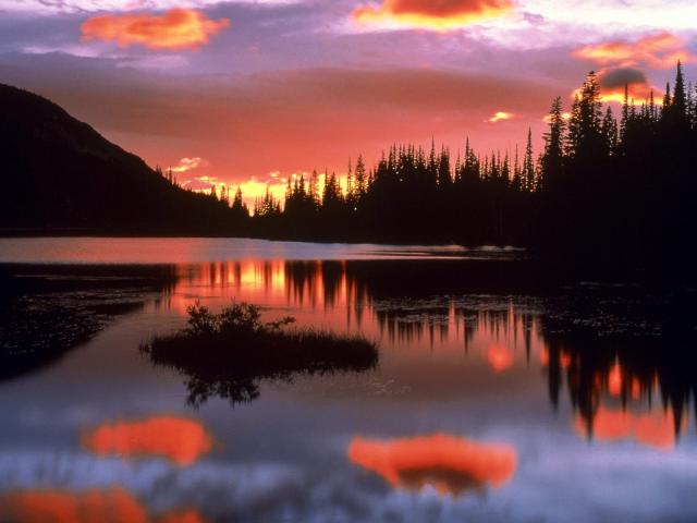 Reflection Lake at Sunrise_ Mount Rainier National Park_ Was.jpg