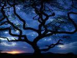 Serengeti National Park_ Tanzania.jpg