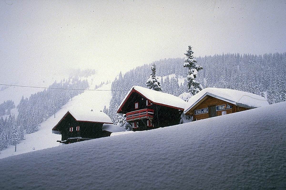 房屋的照片对山雪