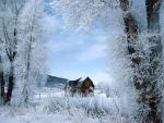 Wallpapers for desktop with the house and trees
