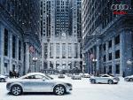 AUDI_picture115.jpg
