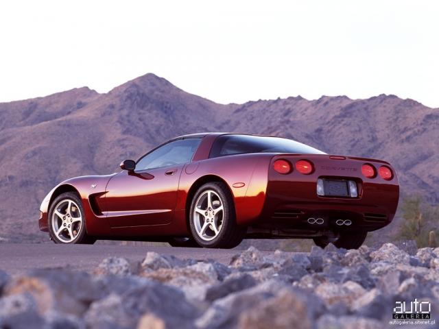 chevrolet_corvette_50th_anniversary_2003_03_m_1_.jpg