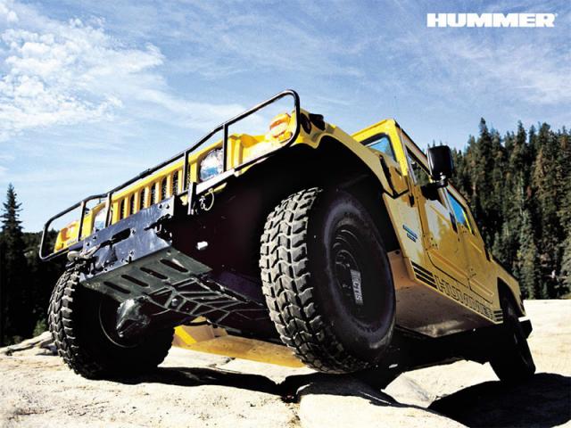 Hammer 800_1_h1.jpg