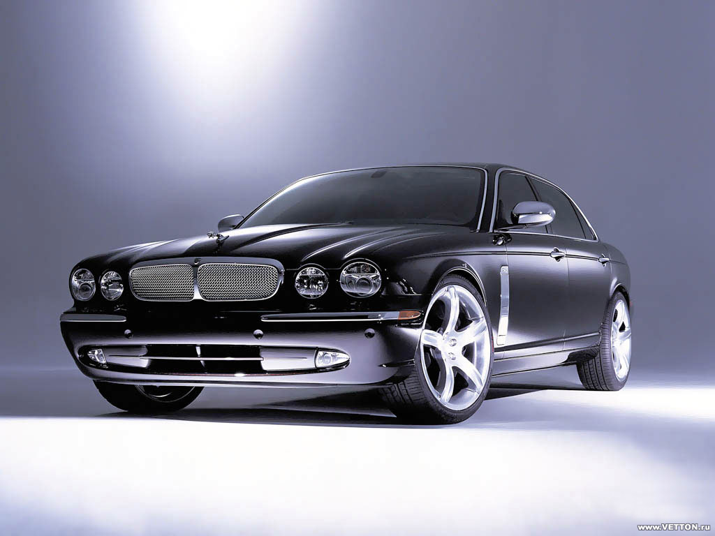 Jaguar 784_1024.jpg