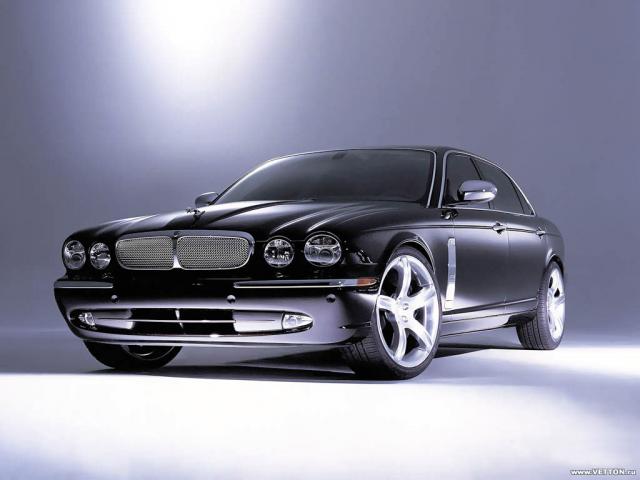 Jaguar 784_1024.jpg