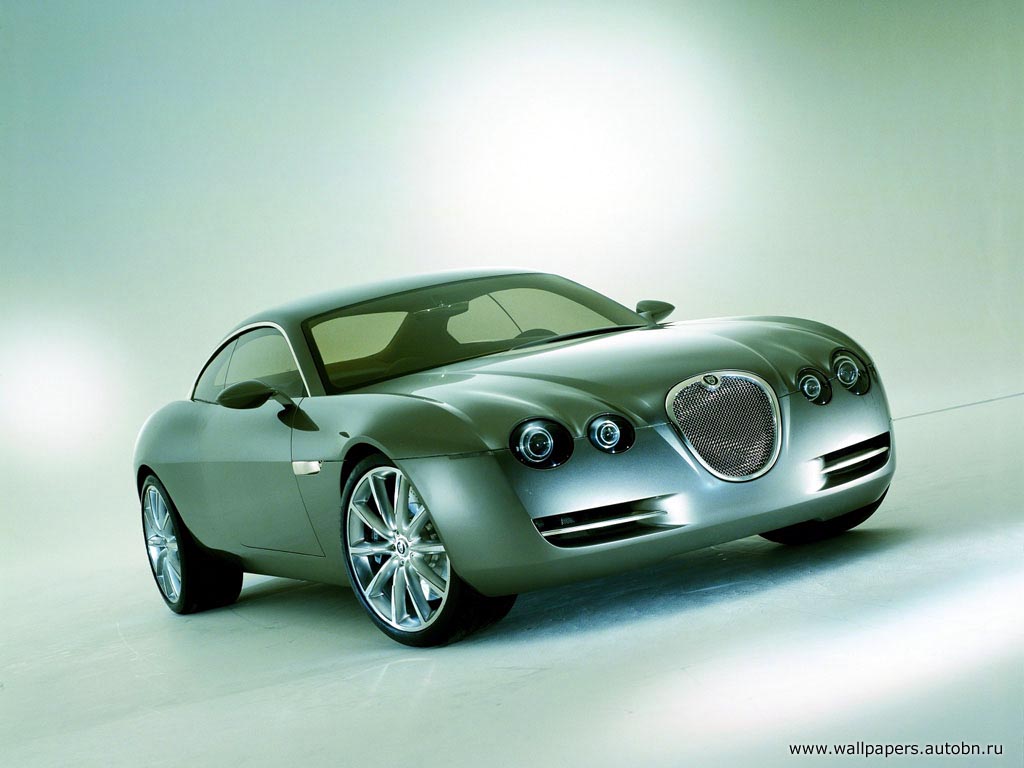 jaguar_010.jpg