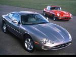 jaguar_035.jpg