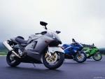 MOTO 241_1024.jpg