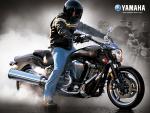 MOTO 249_1024.jpg