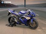MOTO 274_1024.jpg