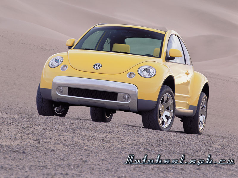 VW_NEWBEETLE_DUNE.jpg