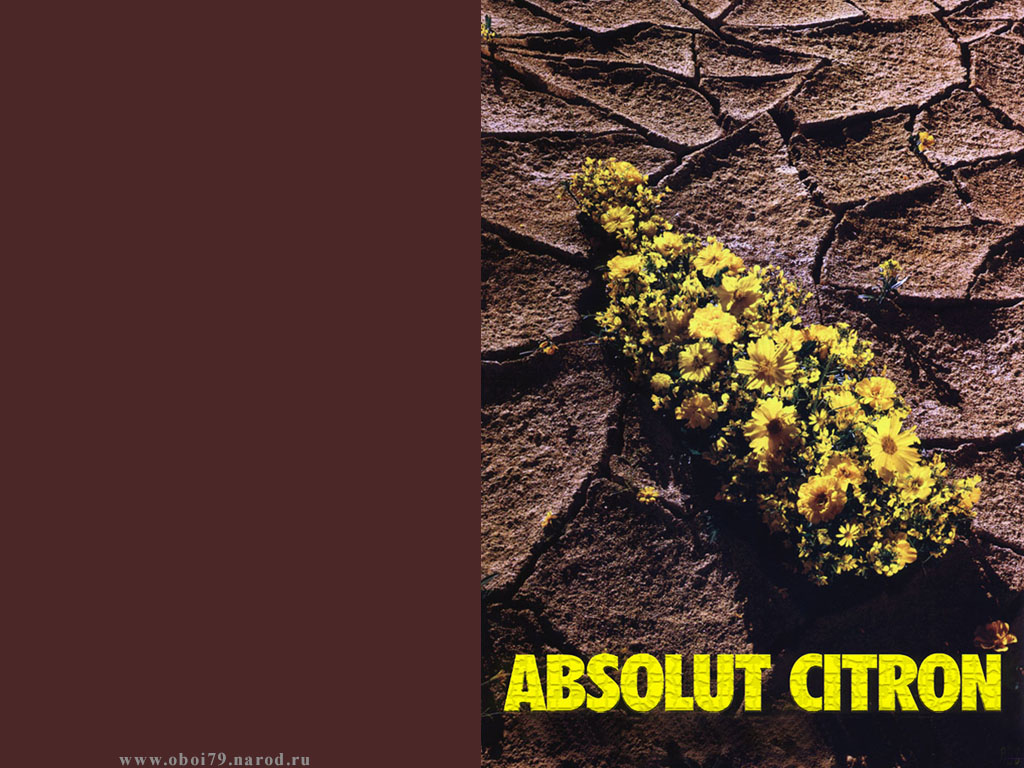 Absolut Vodka_8.jpg