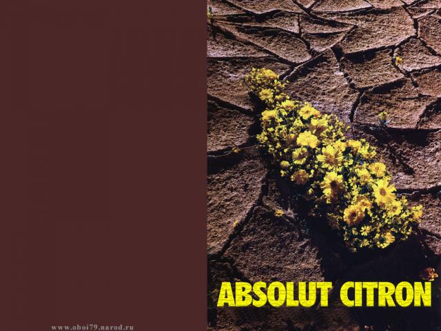 Absolut Vodka_8.jpg