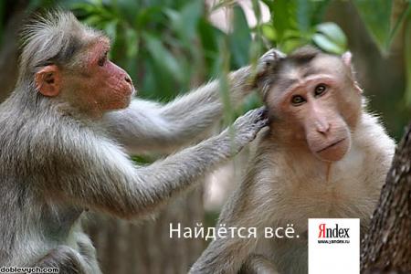 фото с обезьянками рекламирующими компанию Яндекс